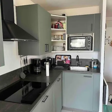 Face A La En Roussillon Appartement